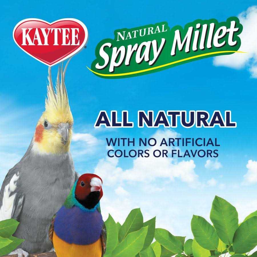 Spray Millet H4978