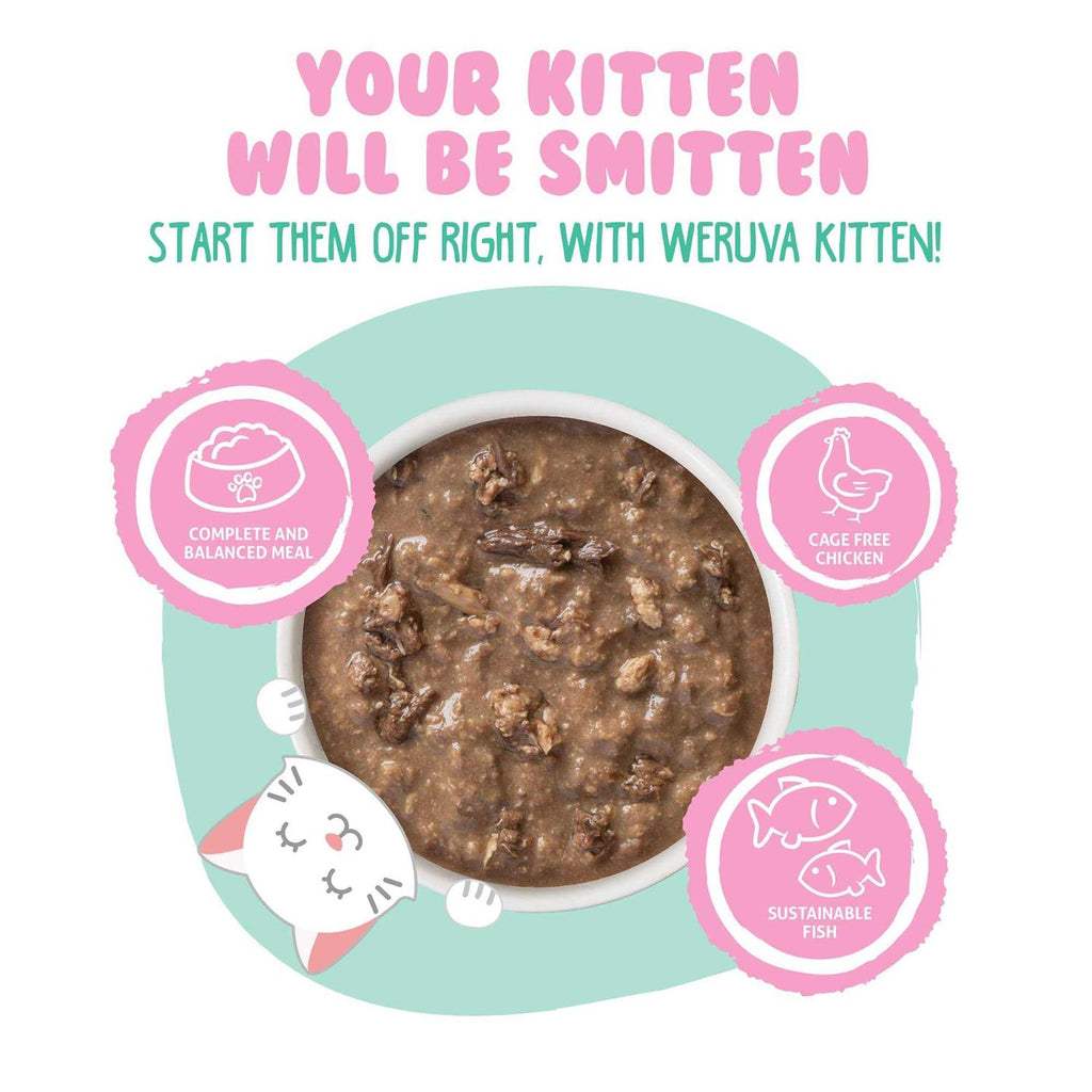 Chicken & Tuna Formula in Gravy Wet Cat Food Q4552