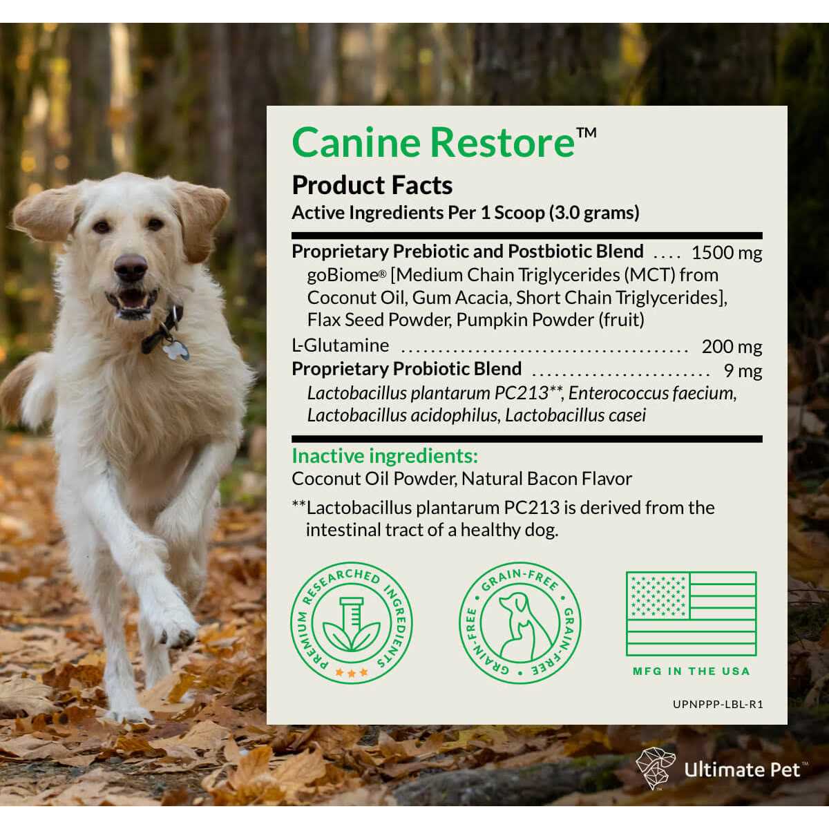 Digestive Support Powder for Dogs 3.17 oz O3247