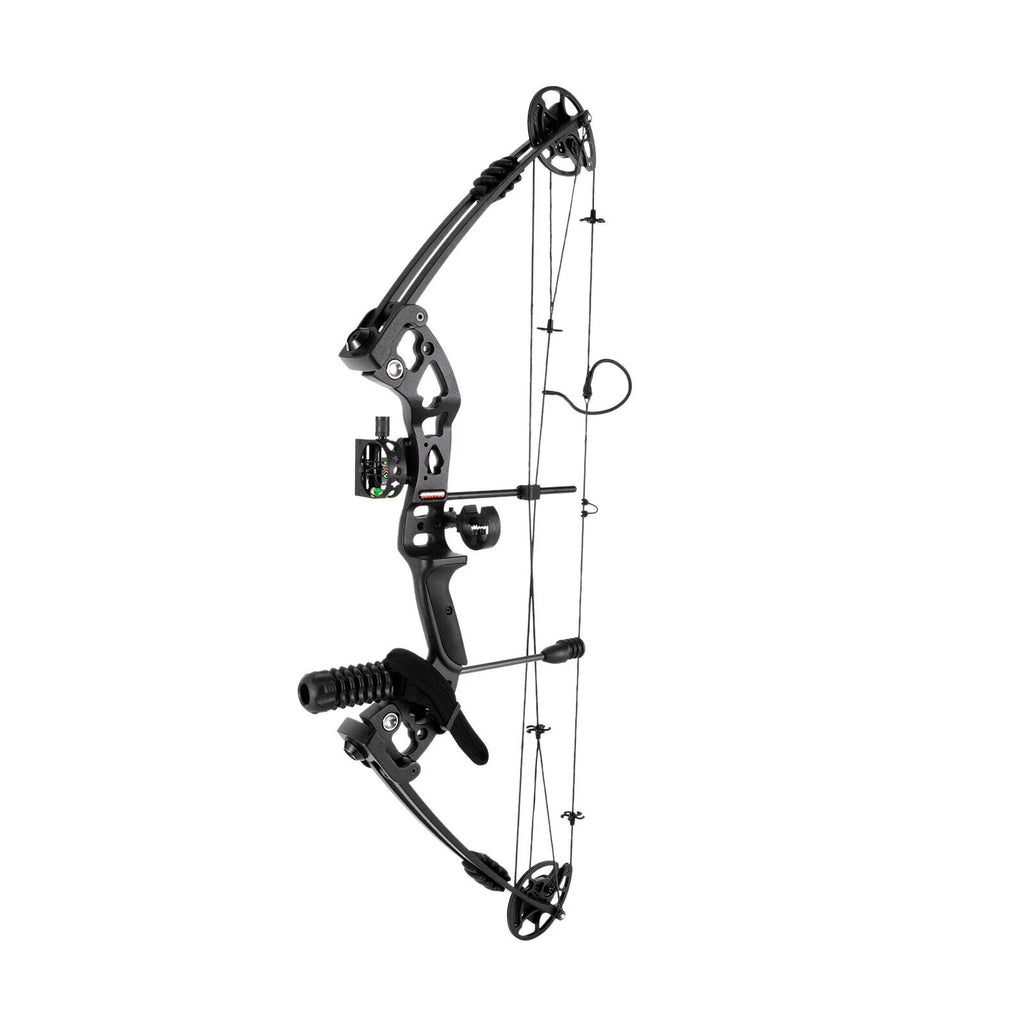 Compound Bow with 12 Arrows, 24-29.5 inches Draw Distance, 310FPS G256