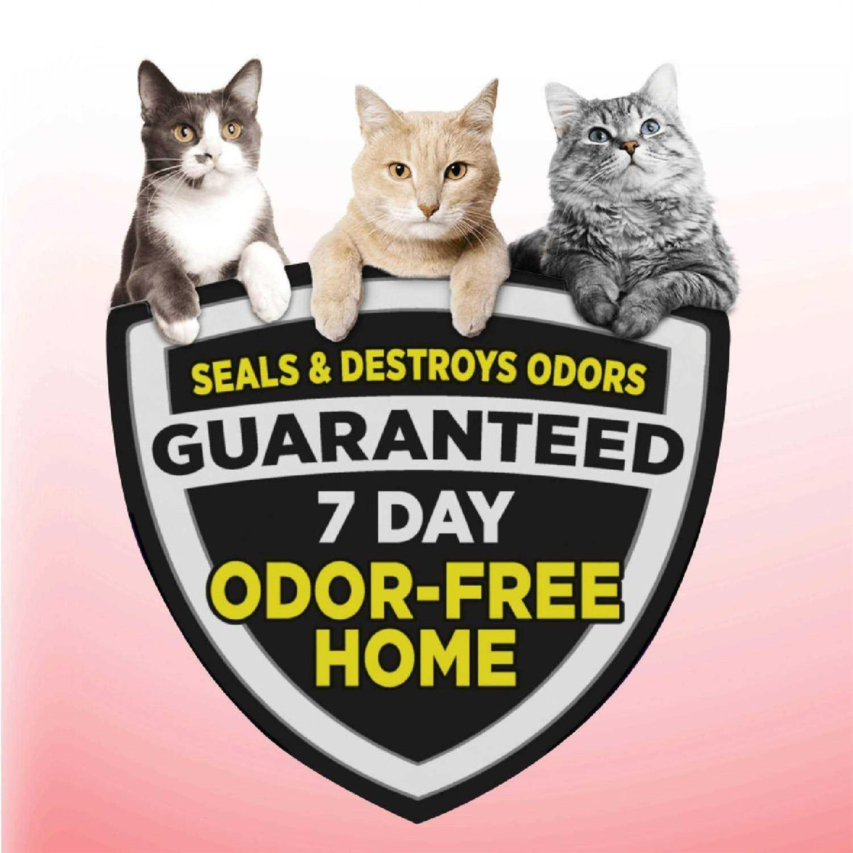 Cat Litter C428000