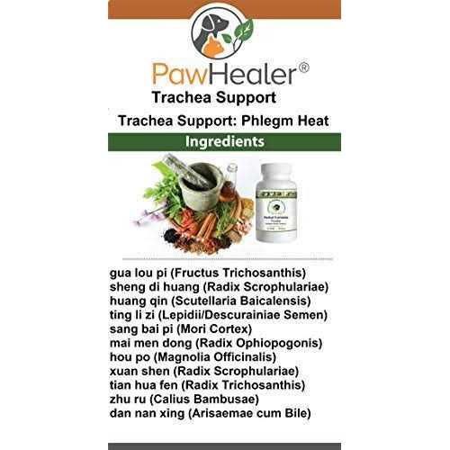 Dog Cough Remedy Pet Supplies S908146