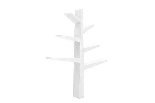 Green Bookcase G917