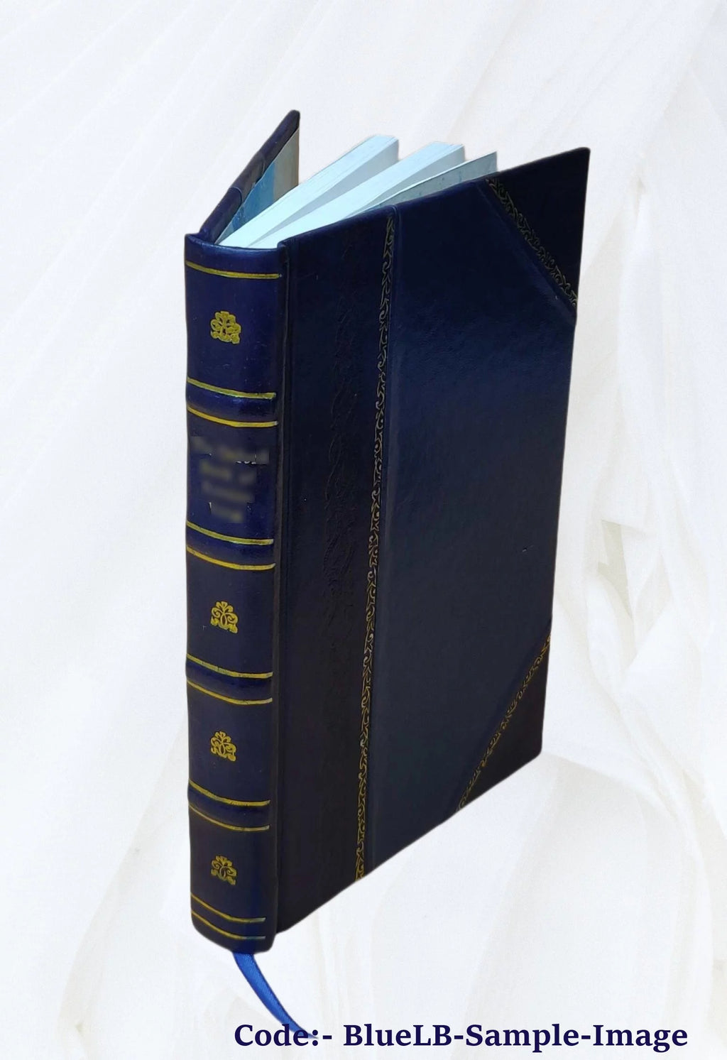 Civil War Leather Bound E445261