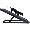 Dachshund Ramp F39899