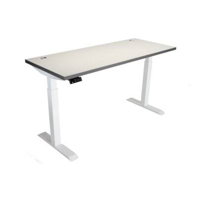 Gray Electric Height Adjustable Standing Desk R191