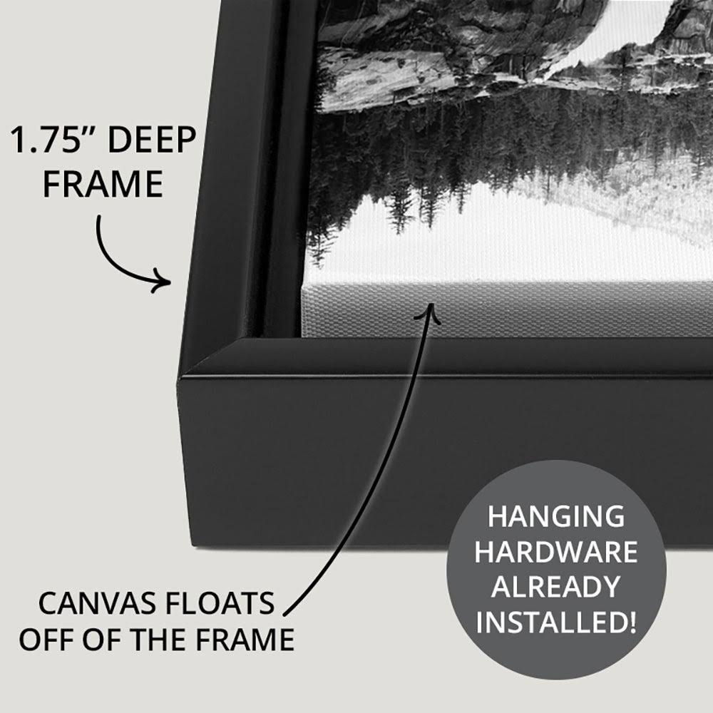 Black Float Frame Canvas Art P338