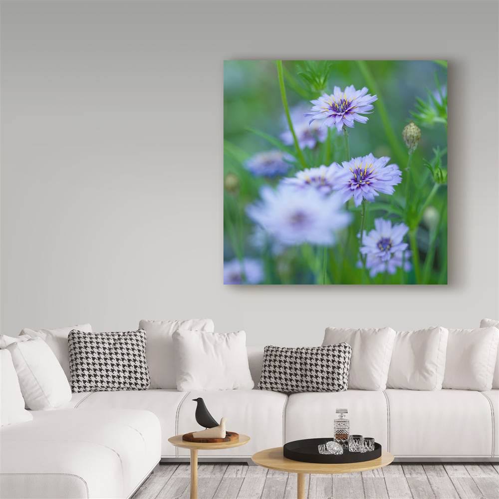 Canvas Art X6461