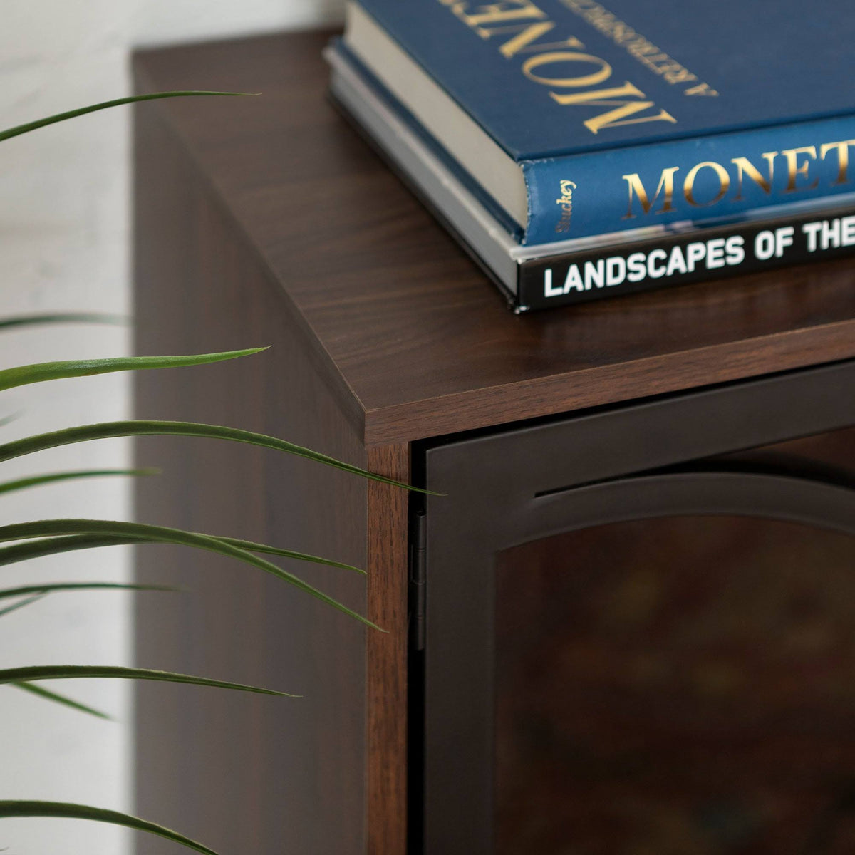 Metal and Glass Door Accent Console G35673
