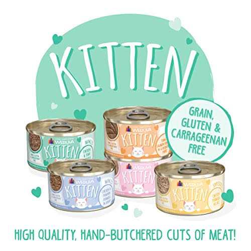 Chicken & Tuna Formula in Gravy Wet Cat Food Q4552
