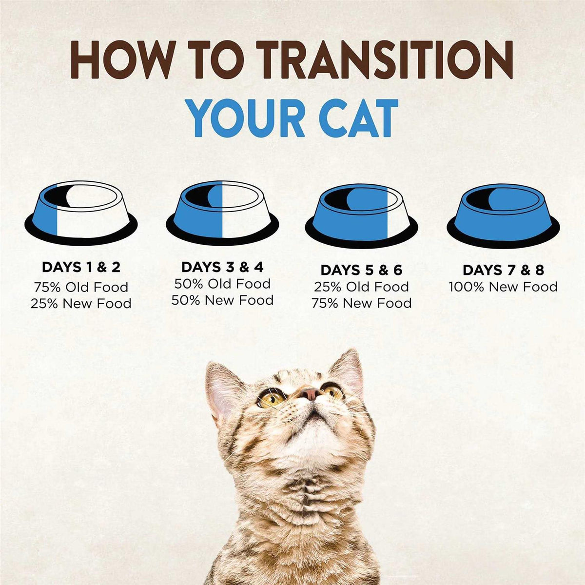 Grain Free Canned Cat Food A467017