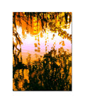 Canvas Art I981