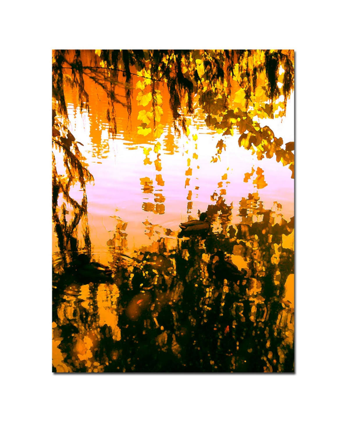Canvas Art I981