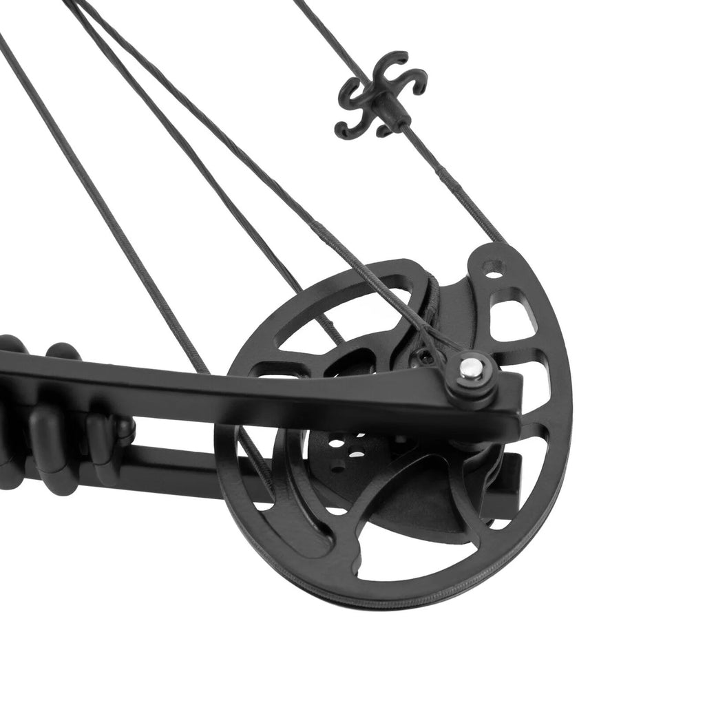 Compound Bow with 12 Arrows, 24-29.5 inches Draw Distance, 310FPS G256