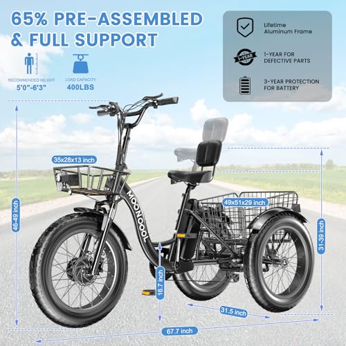Electric Tricycle 350W 36V Removable Battery 7 Speeds 3 Wheels C466