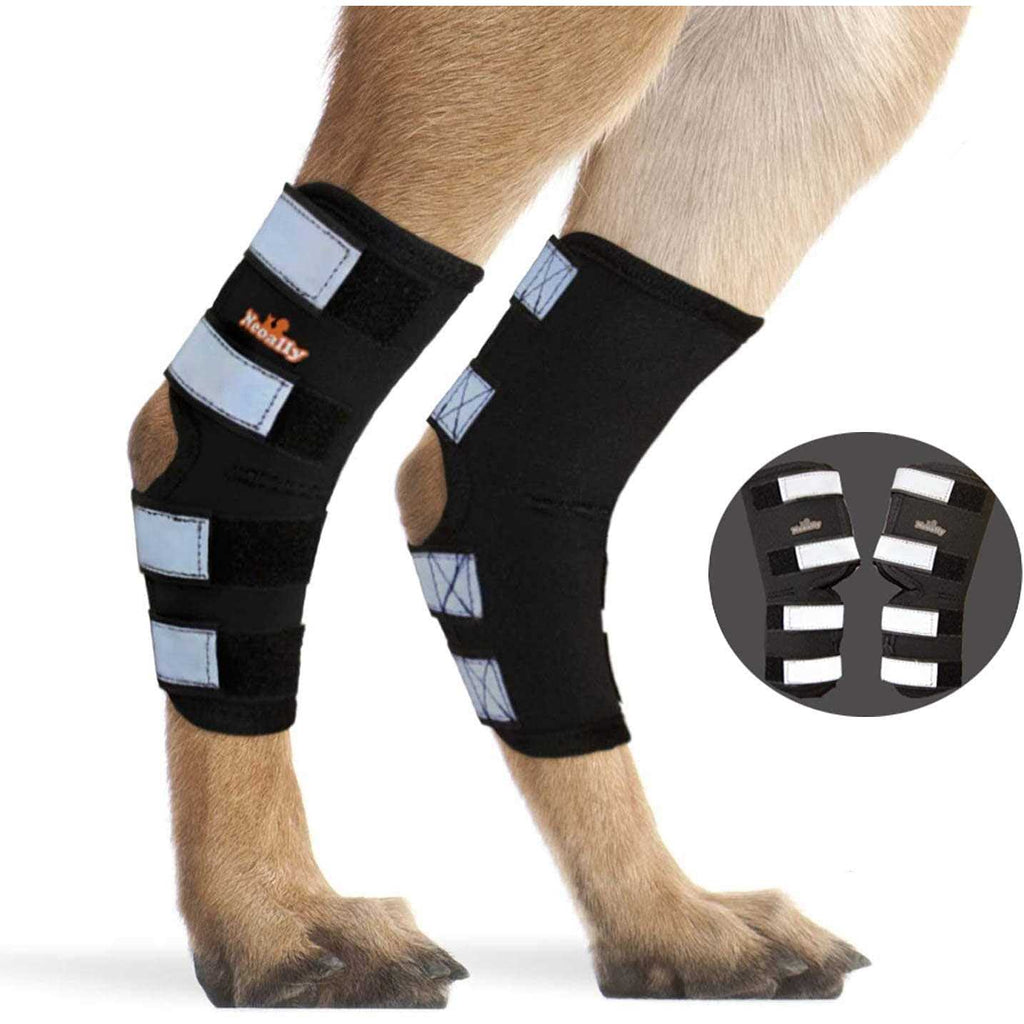Dog Hind Leg Brace with Reflective Straps K6031