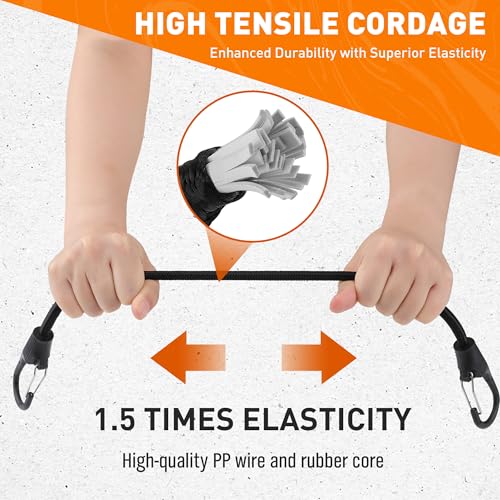 31-Piece Bungee Cords Assortment P128370