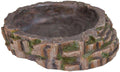 Reptile Pool, 35 x 9 x 34 cm Q885
