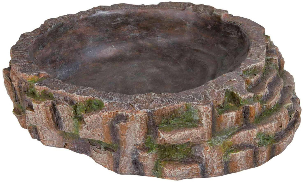 Reptile Pool, 35 x 9 x 34 cm Q885