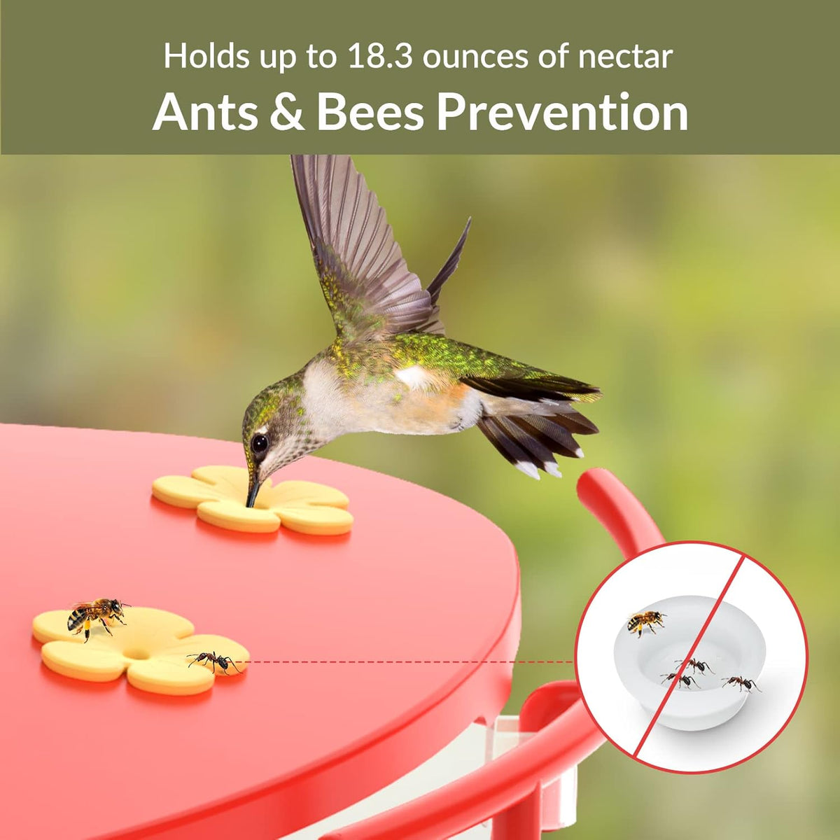 Bird Feeder with Camera U6450