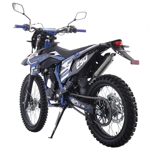 Blue 250 Dirt Bike 5-Speed Manual Transmission 21"/18" Wheels Electric/Kick Start A284387
