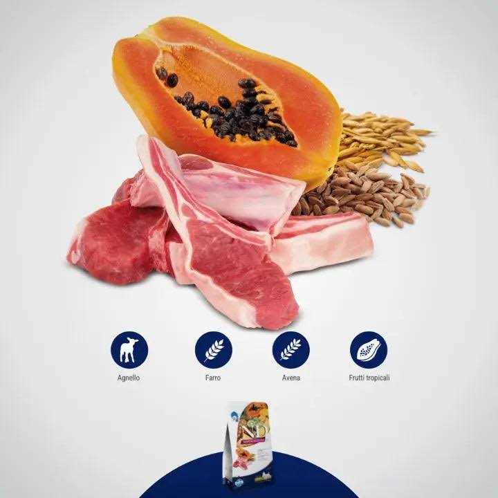 Dry Dog Food Lamb Spelt Oats and Tropical Fruits Adult Medium & Maxi D9905