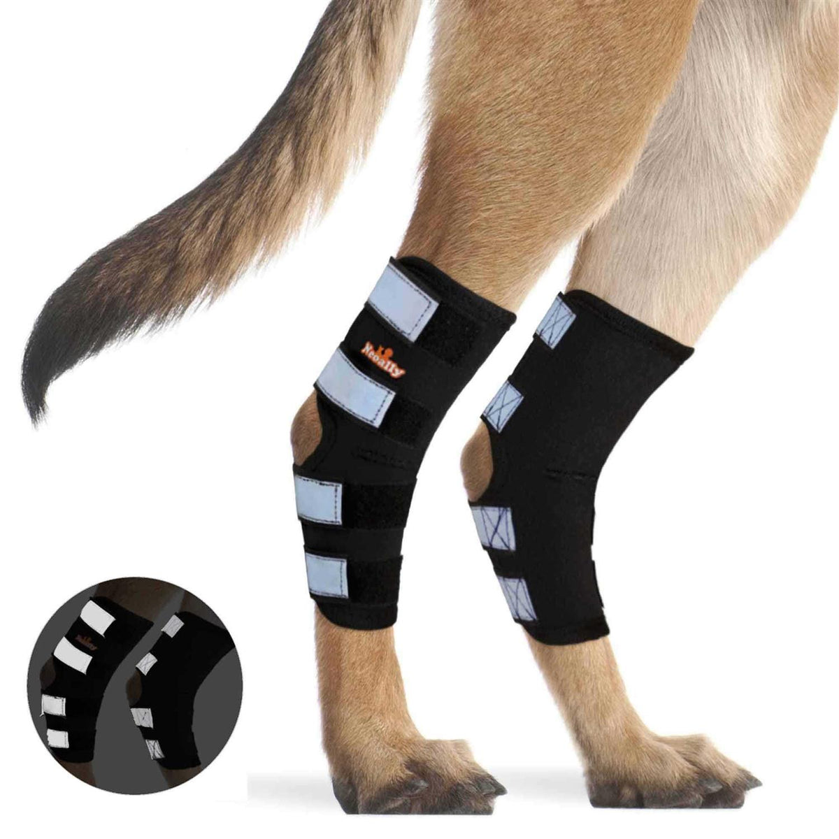 Dog Hind Leg Brace with Reflective Straps K6031