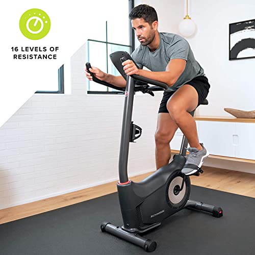 Upright Bike D164