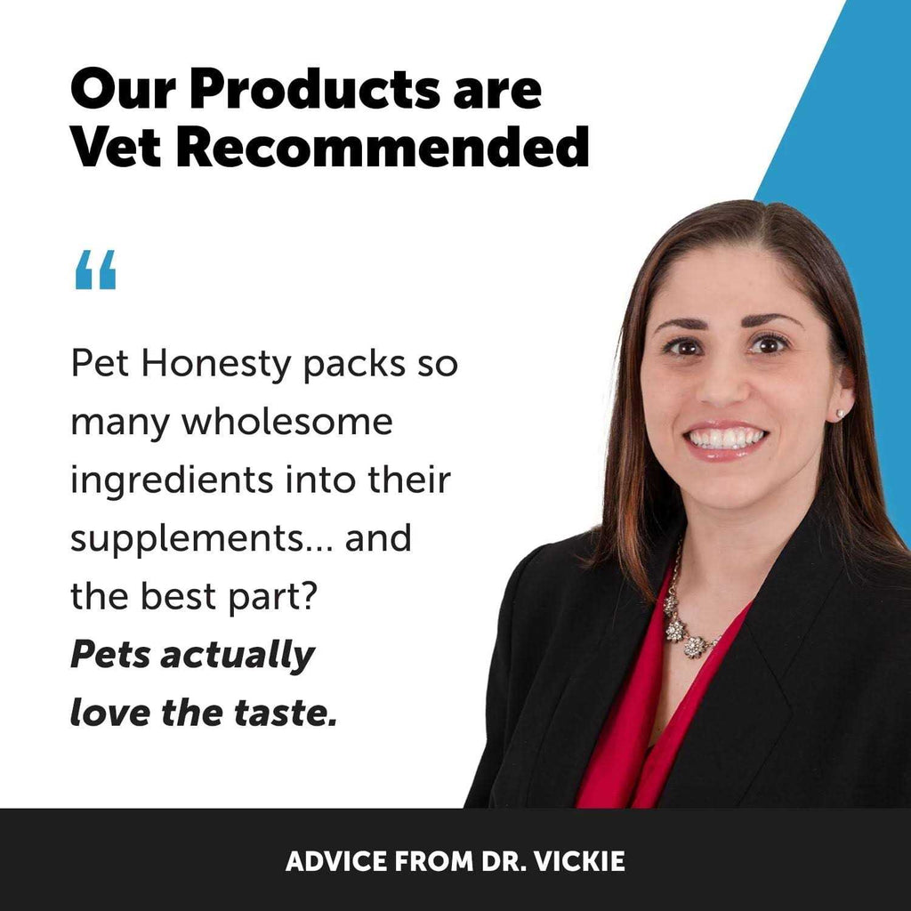 Digestive Skin and Coat Cat Supplement R59784