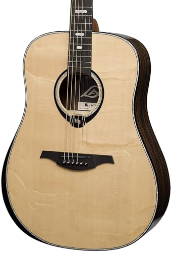 50 Dreadnought Bevel Gloss Acoustic Guitar X861