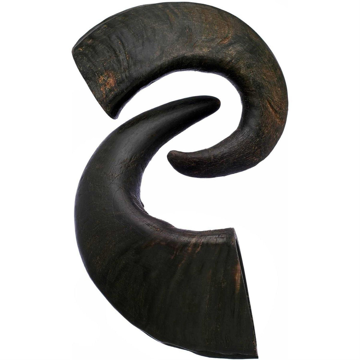 Water Buffalo Horn Dog Treat N58563