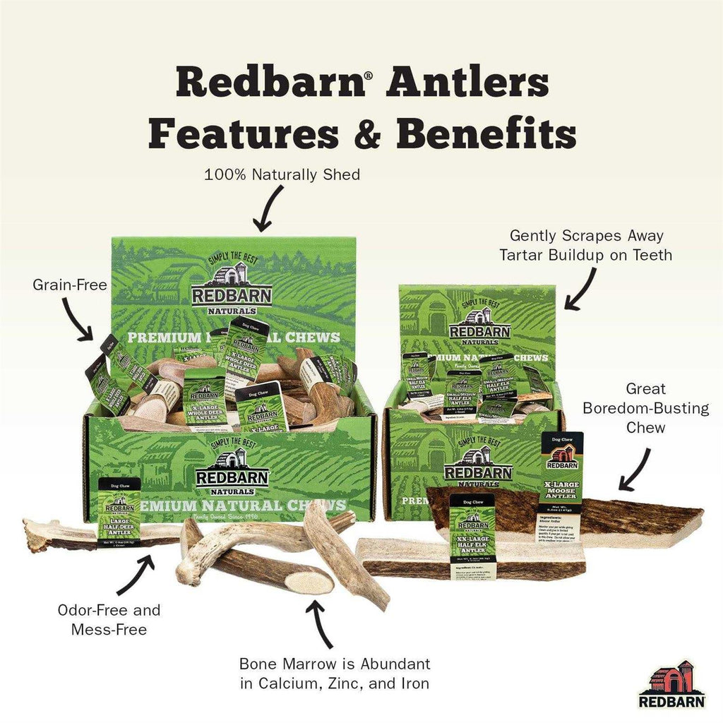 Deer Antler N55340