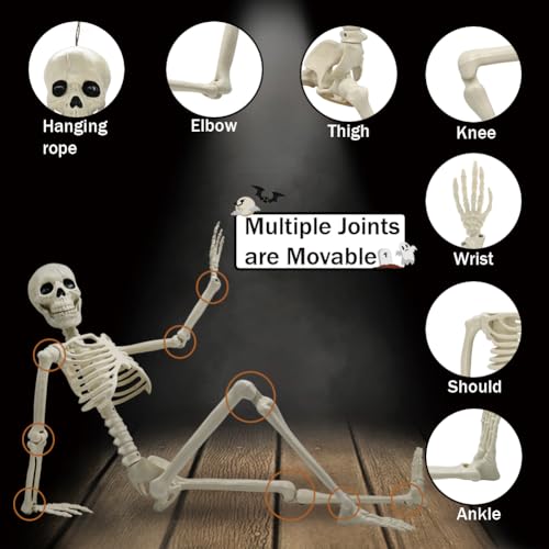 5.9FT Plastic Full Size Human Skeleton with Movable Joints O4896