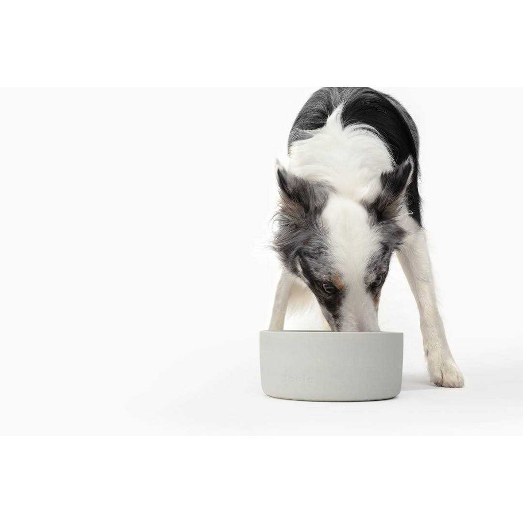 Bowl R370605