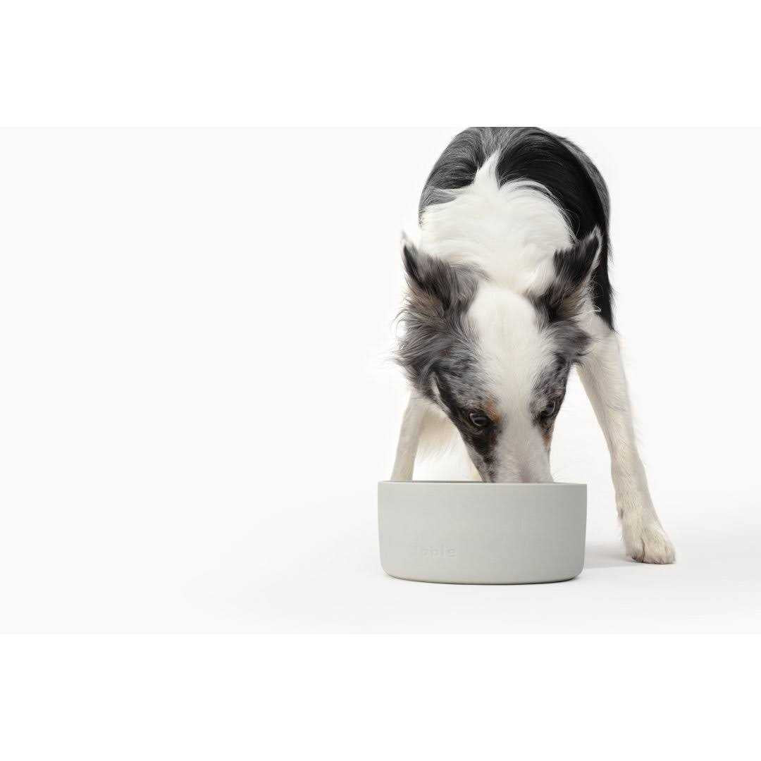 Bowl R370605