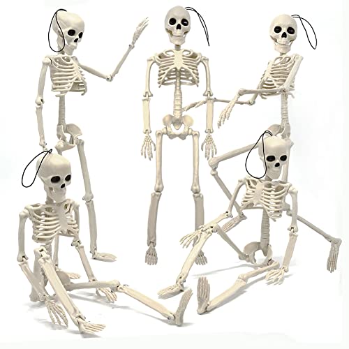 5.9FT Plastic Full Size Human Skeleton with Movable Joints O4896