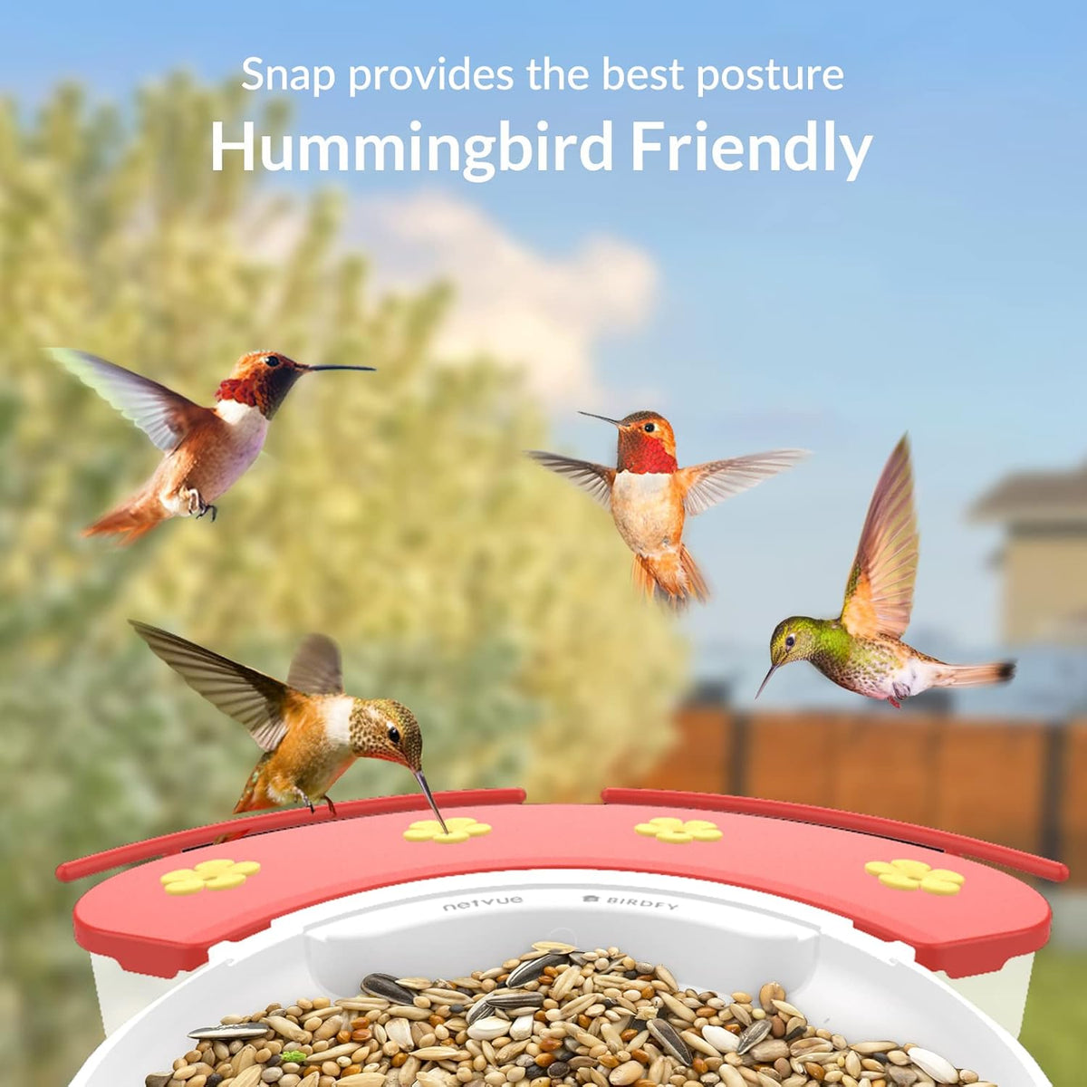 Bird Feeder with Camera U6450