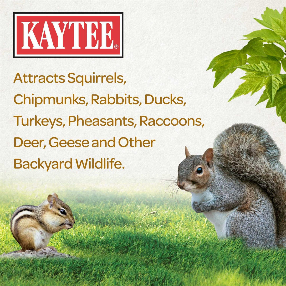 Squirrel Food E4917