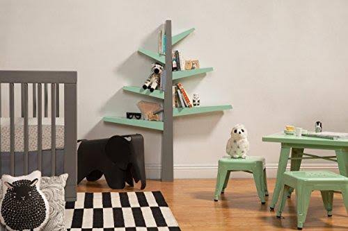 Green Bookcase G917