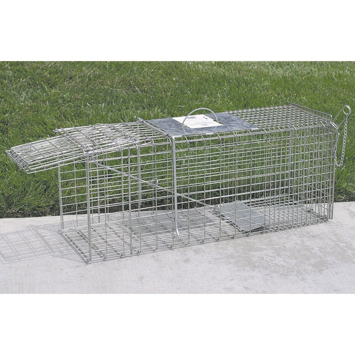 Medium Animal Trap H3263