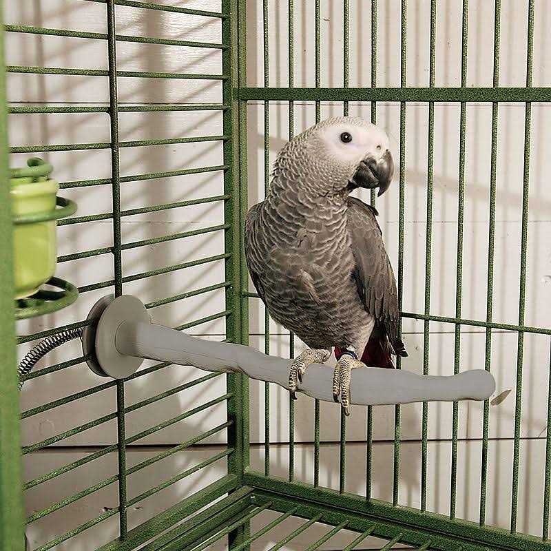 Bird Thermo-Perch J81825