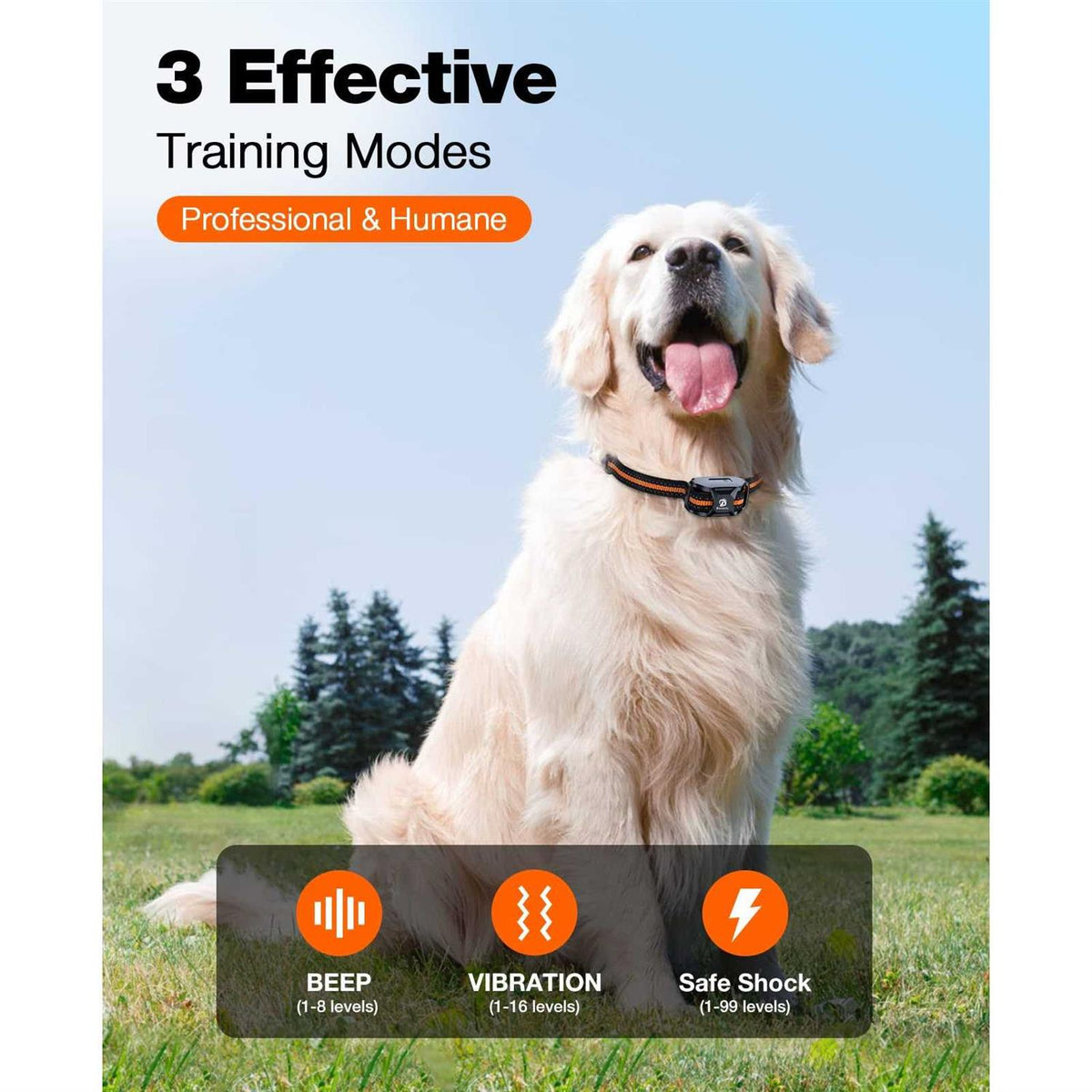 Dog Shock Collar with Remote G4087