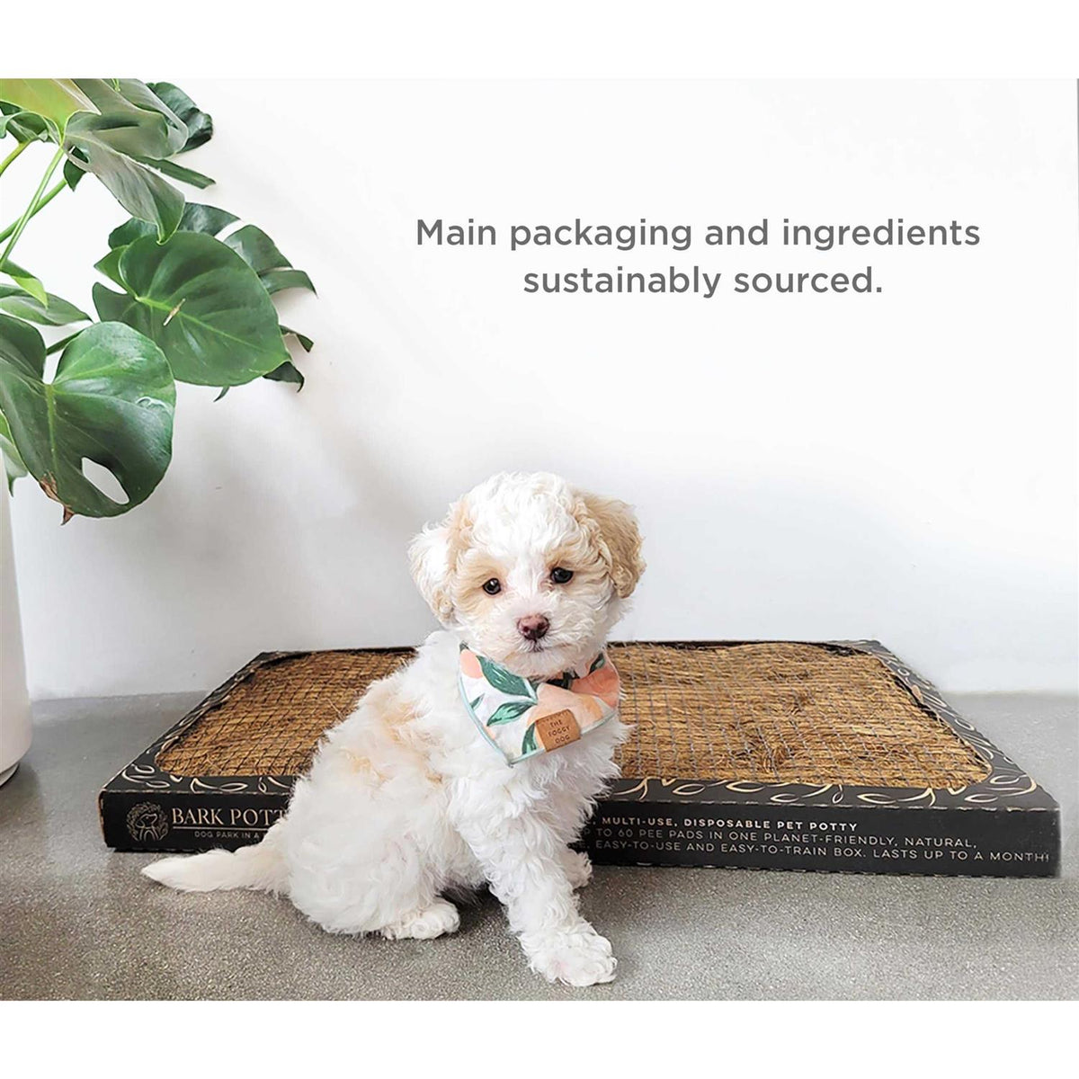 Natural Disposable Dog Potty Pad X301