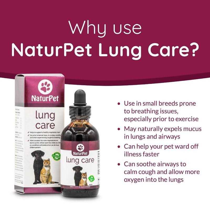 Lung Care I923831