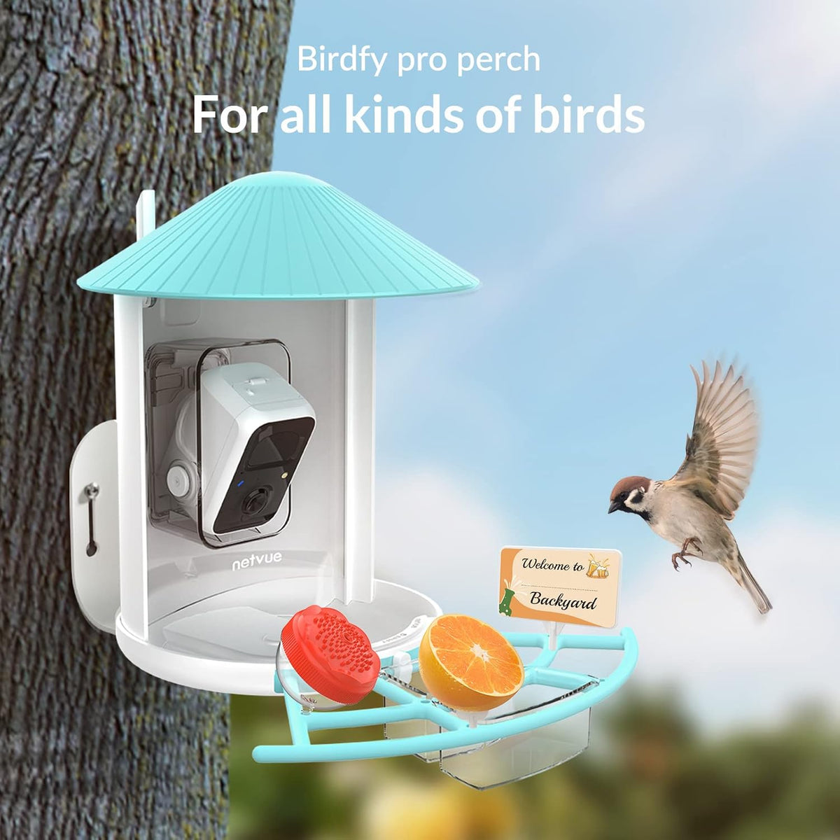 Bird Feeder with Camera U6450