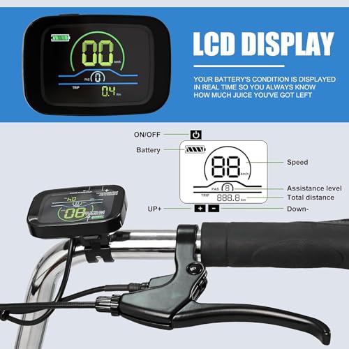 Electric Tricycle 350W 36V Removable Battery 7 Speeds 3 Wheels C466