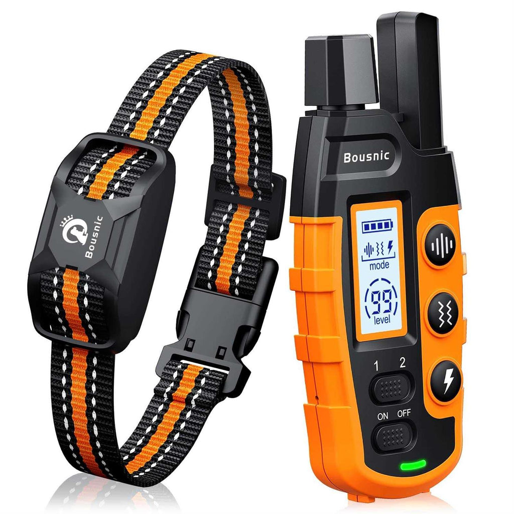 Dog Shock Collar with Remote G4087