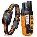 Dog Shock Collar with Remote G4087