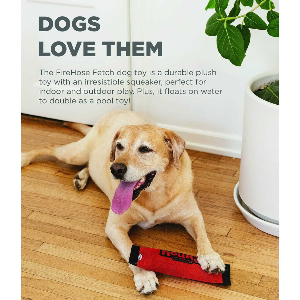 Fetch Dog Toy B399