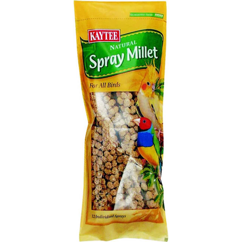 Spray Millet H4978